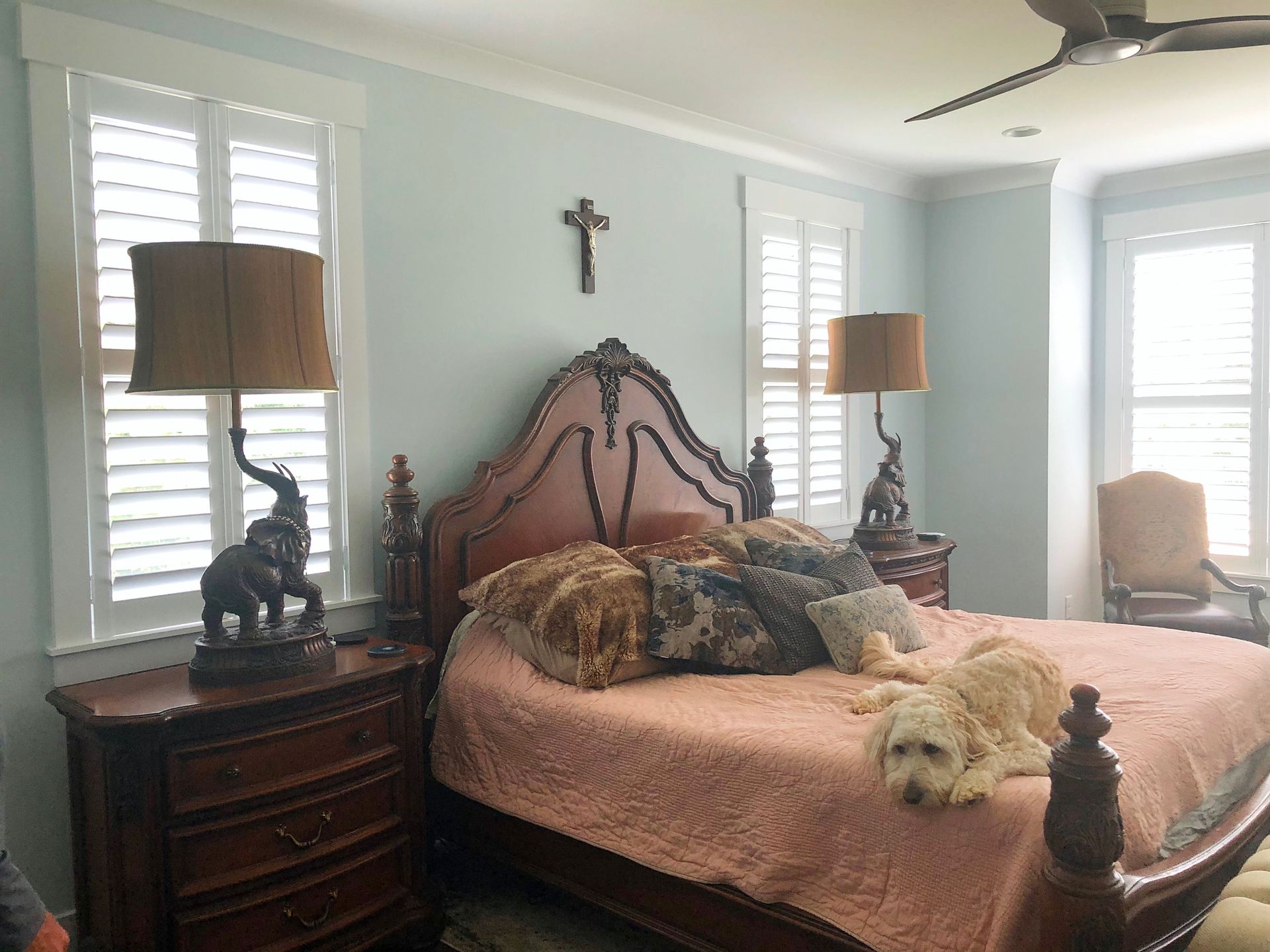 Bedroom with bed, nightstands, lamps, dog, and shutters. Soft blue walls and light colored floors.