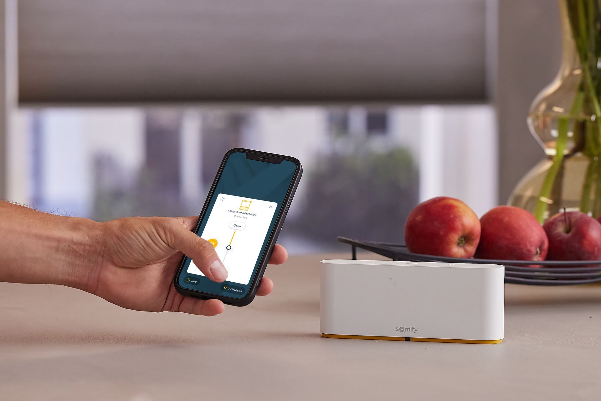 Window with gray roller shades, window seat with pillow, and a view of green trees.