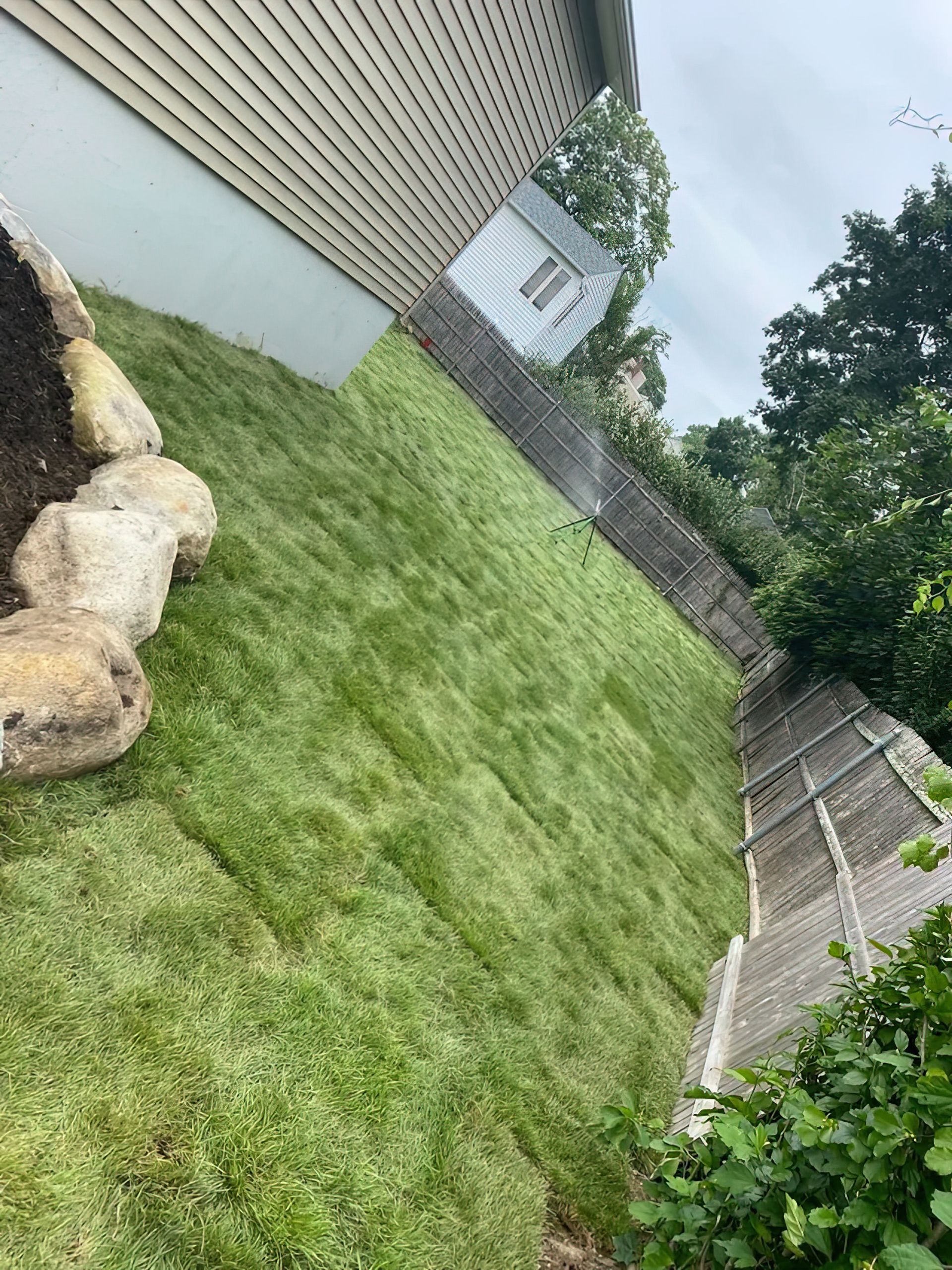 A landscaped backyard features a new patch of grass bordered by large river stones next to a house and wooden fence.