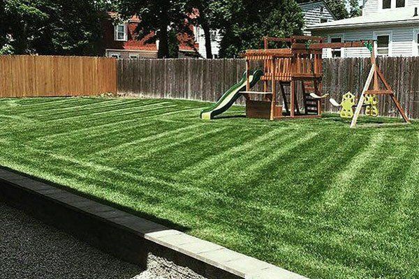 Spring, Fall Cleanup