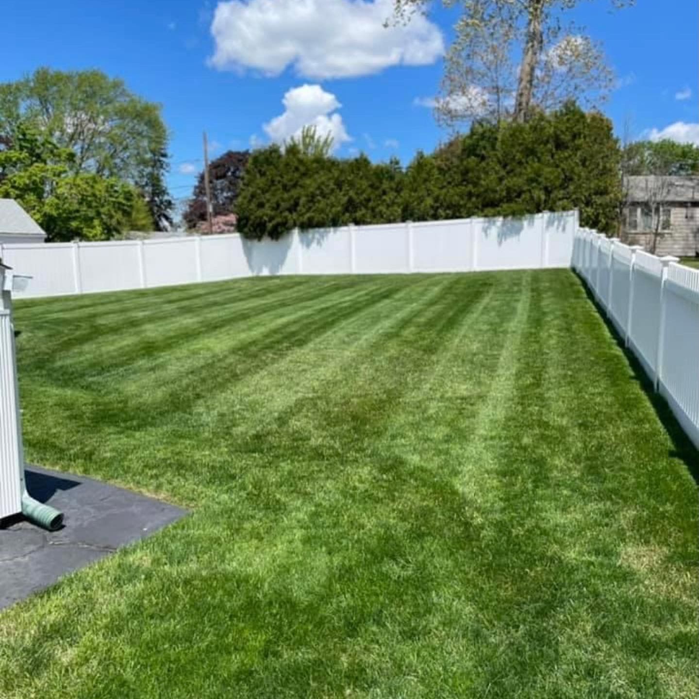 A freshly mown, vibrant green lawn in a backyard enclosed by a tall white vinyl fence under a bright blue sky.