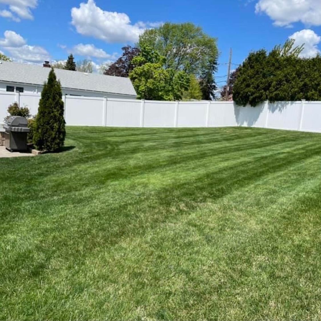 A freshly mown, green backyard lawn with striped grass, bordered by a white privacy fence, trees, and a house under blue sky.