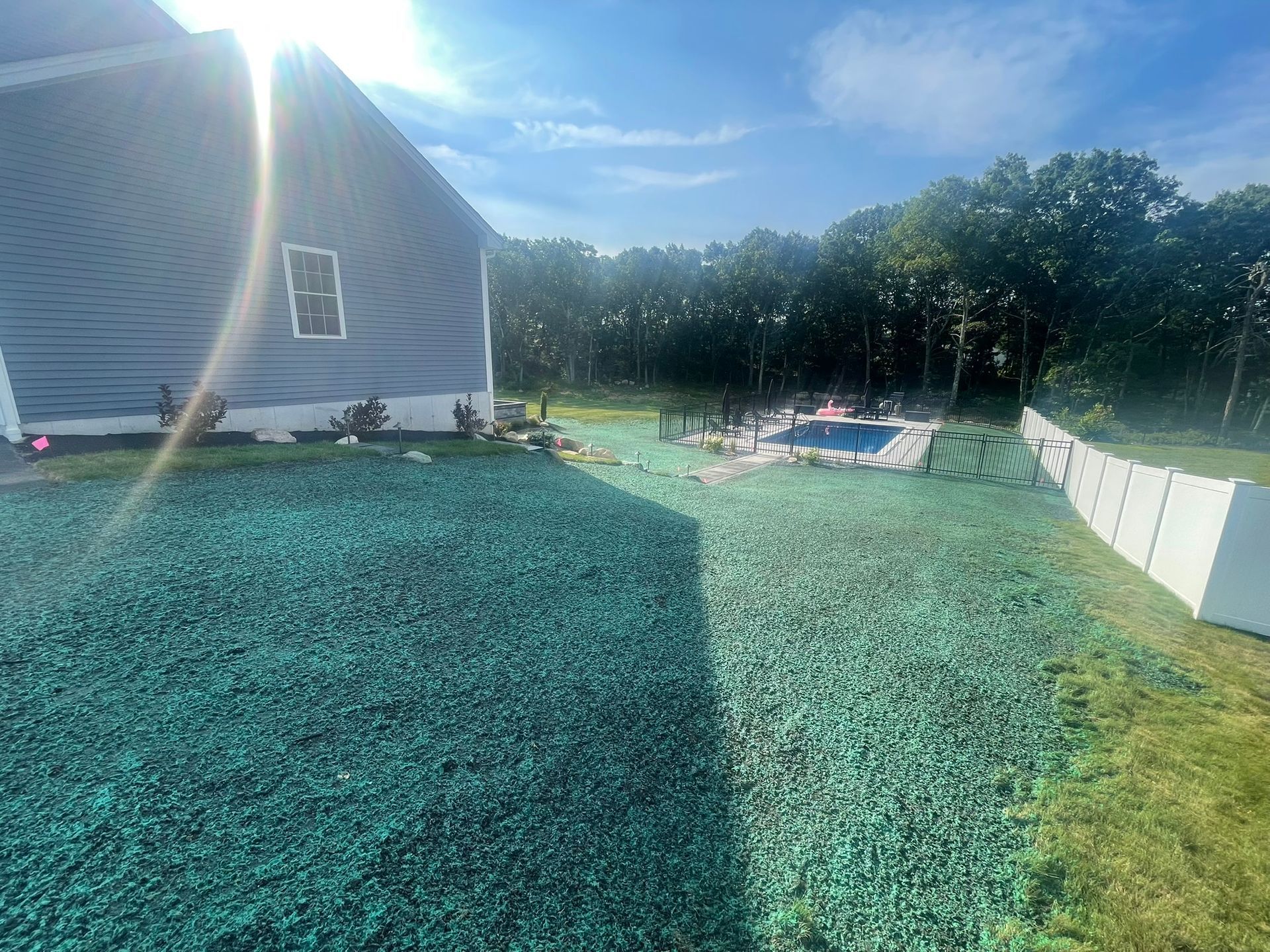 A side yard with blue-dyed soil, a white fence, a pool in the distance, and the side of a house under a sunny sky.