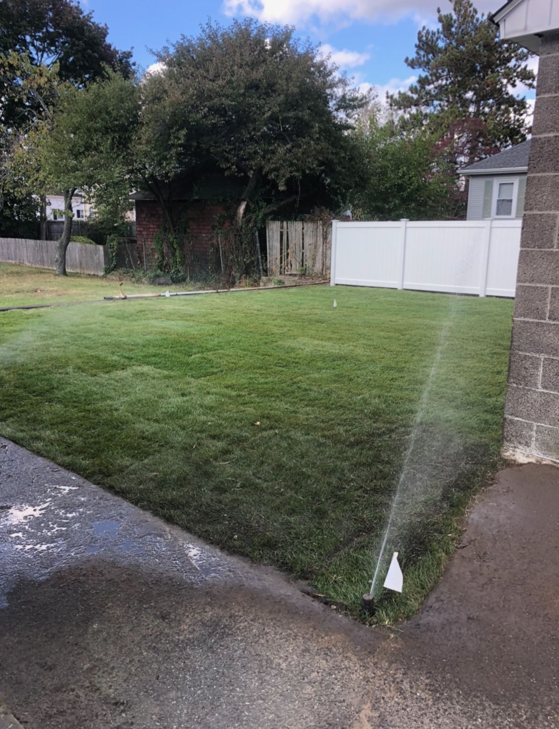 A lawn being watered by an active sprinkler, seen from a paved driveway next to a brick wall.