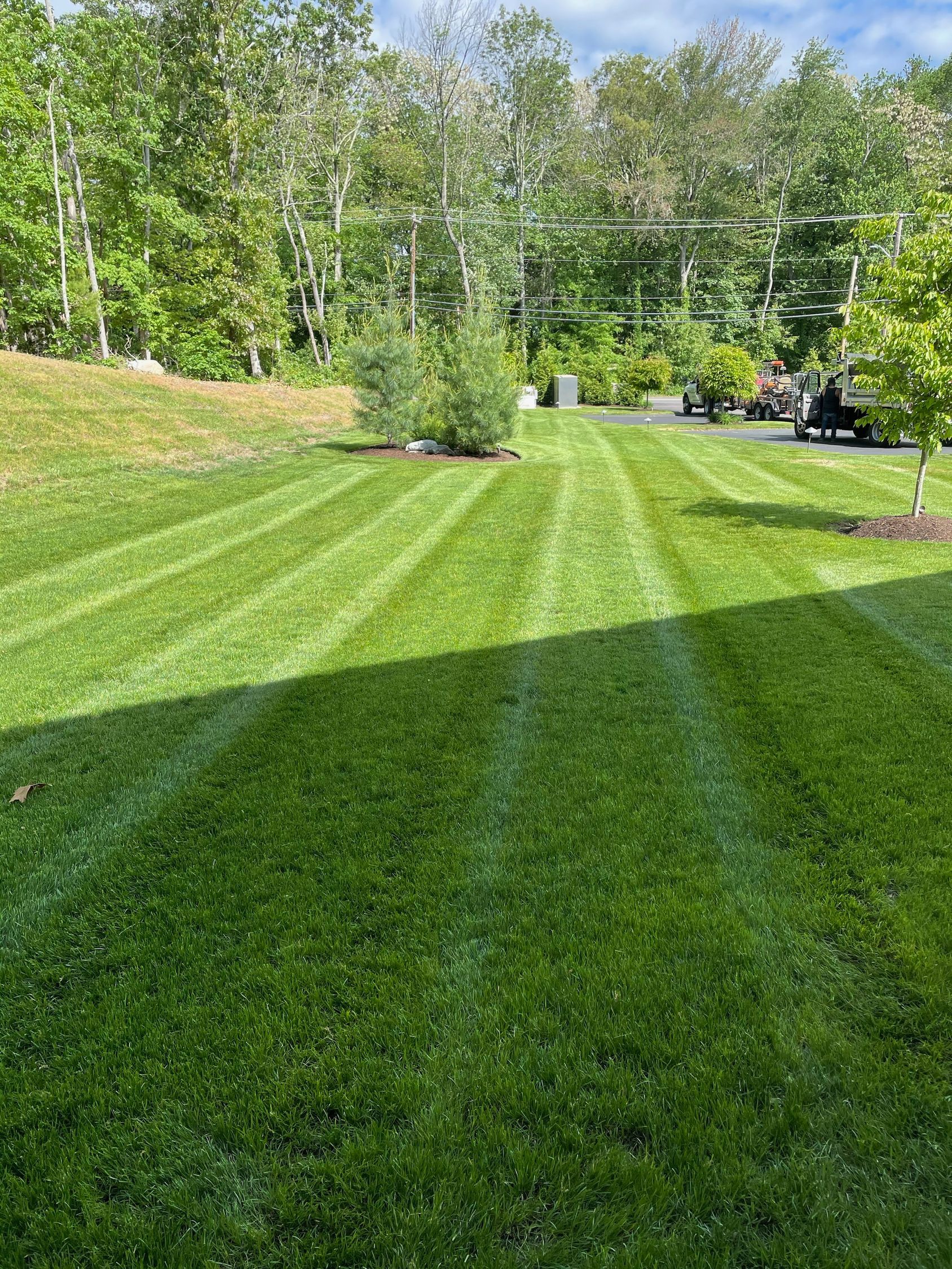 A lush green backyard lawn with distinct, neatly mowed stripes leading toward a line of trees.