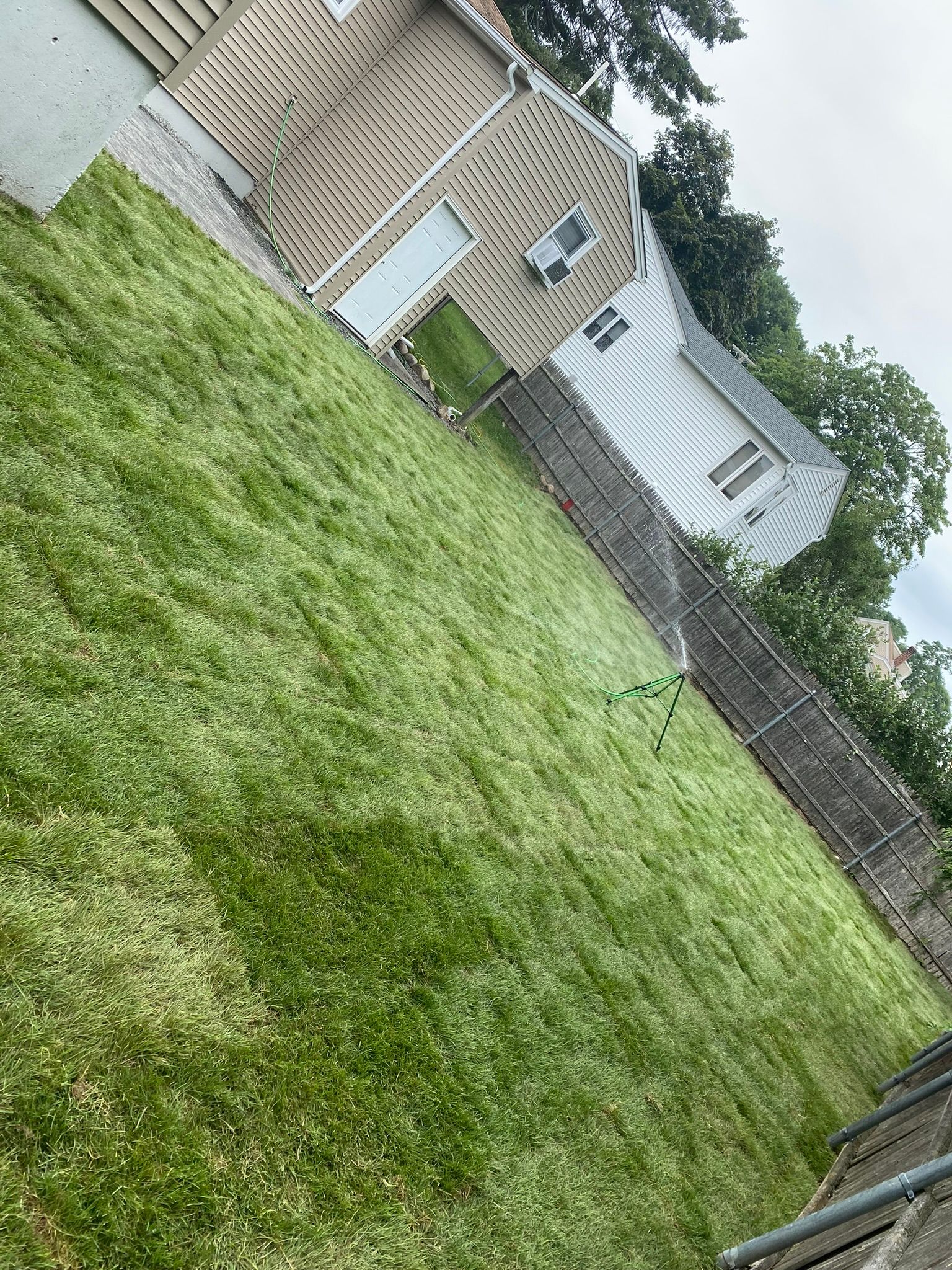 A bright green lawn under a cloudy sky, bordered by a fence, with two houses in the background.