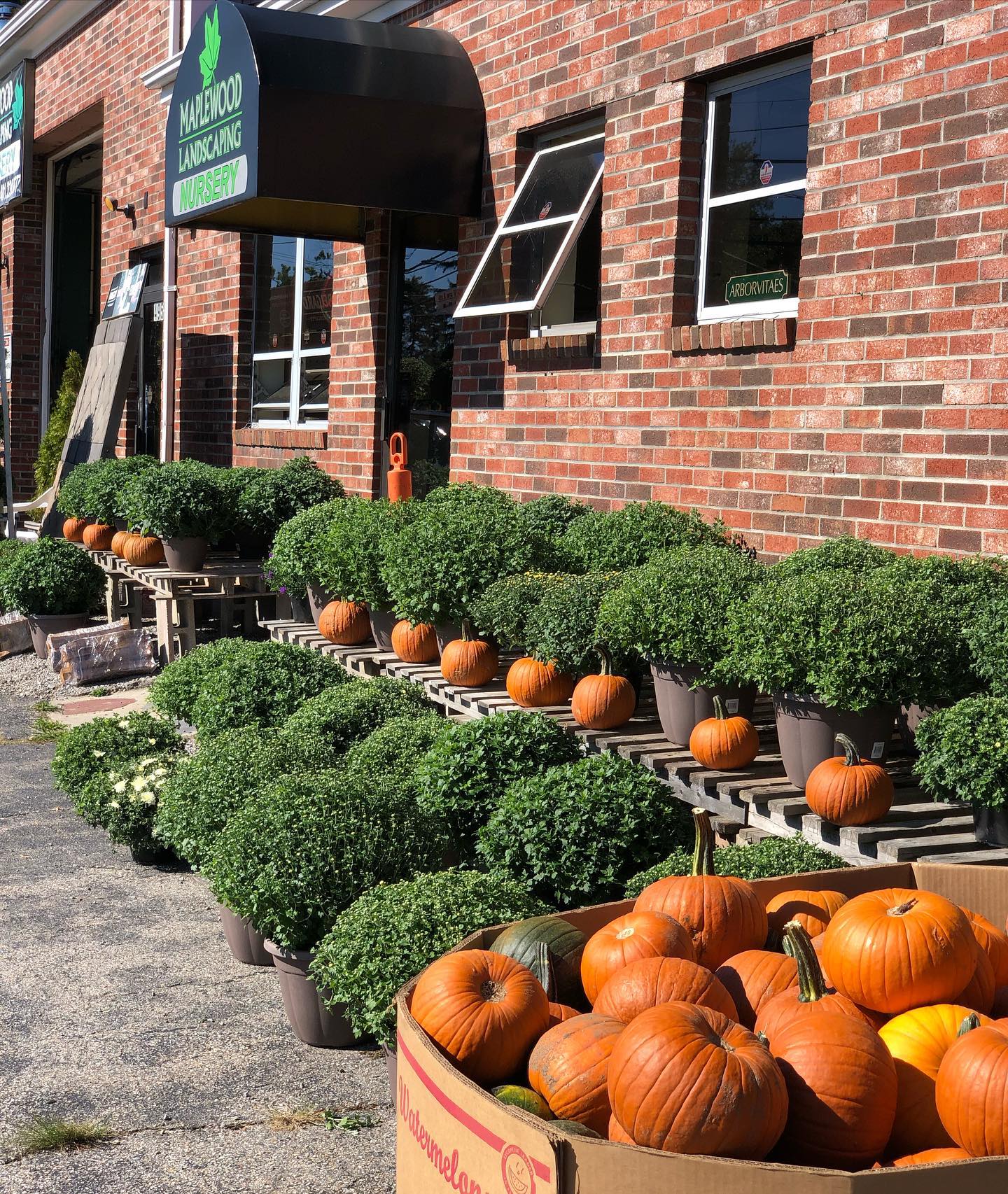 Maplewood Landscaping and Hardscaping