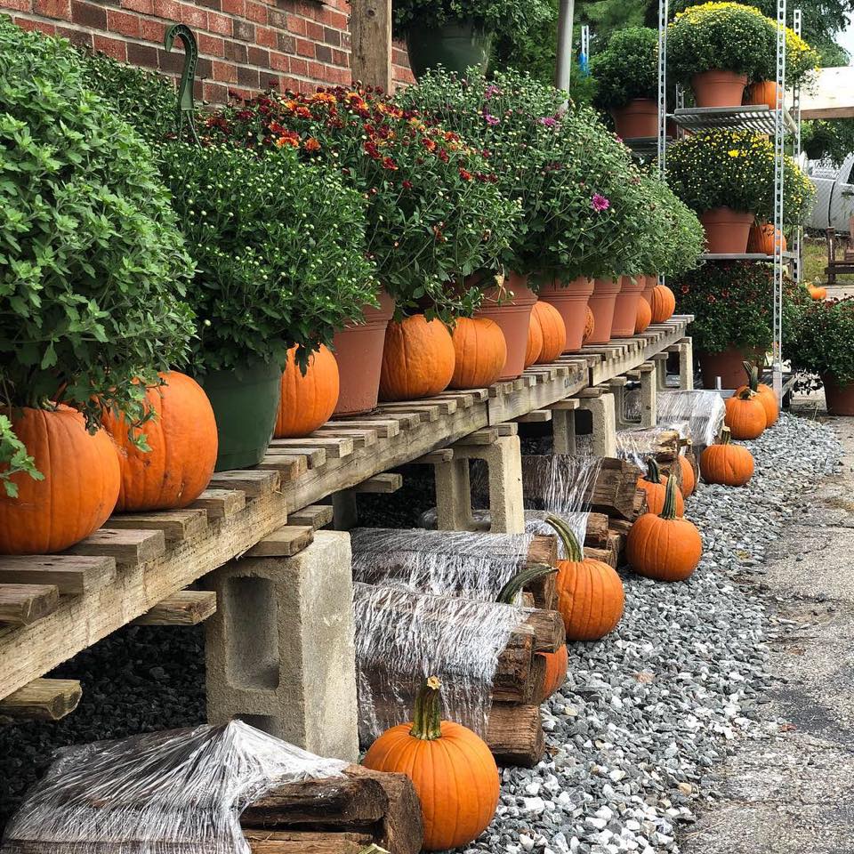 Maplewood Landscaping and Hardscaping