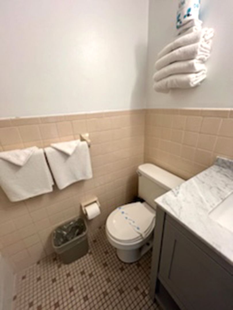 A bathroom with a toilet, sink, and towels on the wall