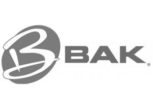 BAK logo