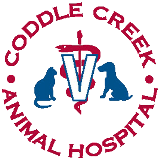 Animal Hospital Concord, NC | Coddle Creek Animal Hospital
