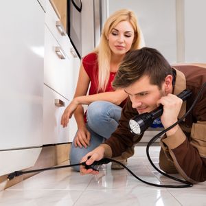 Pest Control Services | Rockford, IL | Rock River Solutions