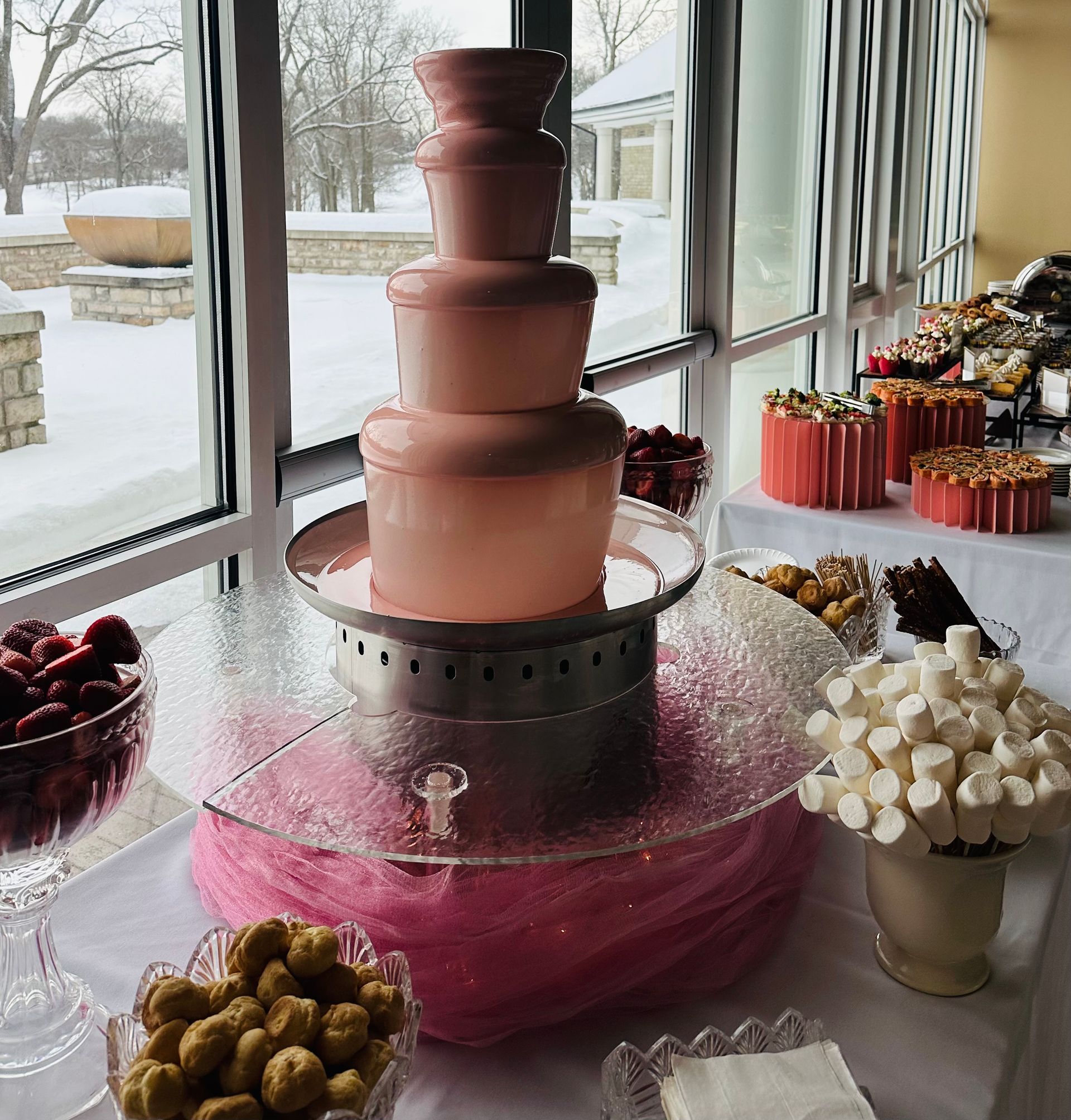 A pink chocolate fountain on a table with bowls of marshmallows, berries, and pastries in a room with snowy window views.