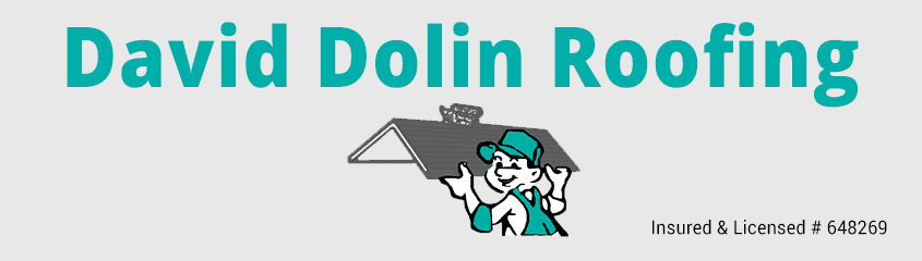 David Dolin Roofing - logo