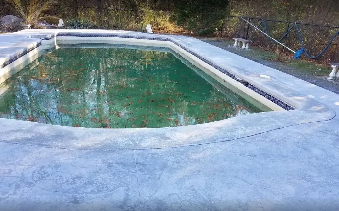 Green, algae-filled rectangular pool with concrete deck; trees in background.