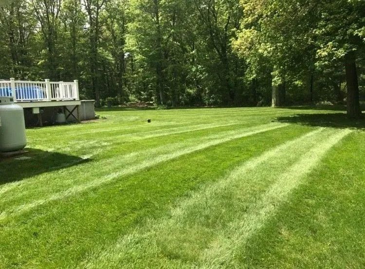 Lawn with green stripes, a white deck, a propane tank, and trees in the background.
