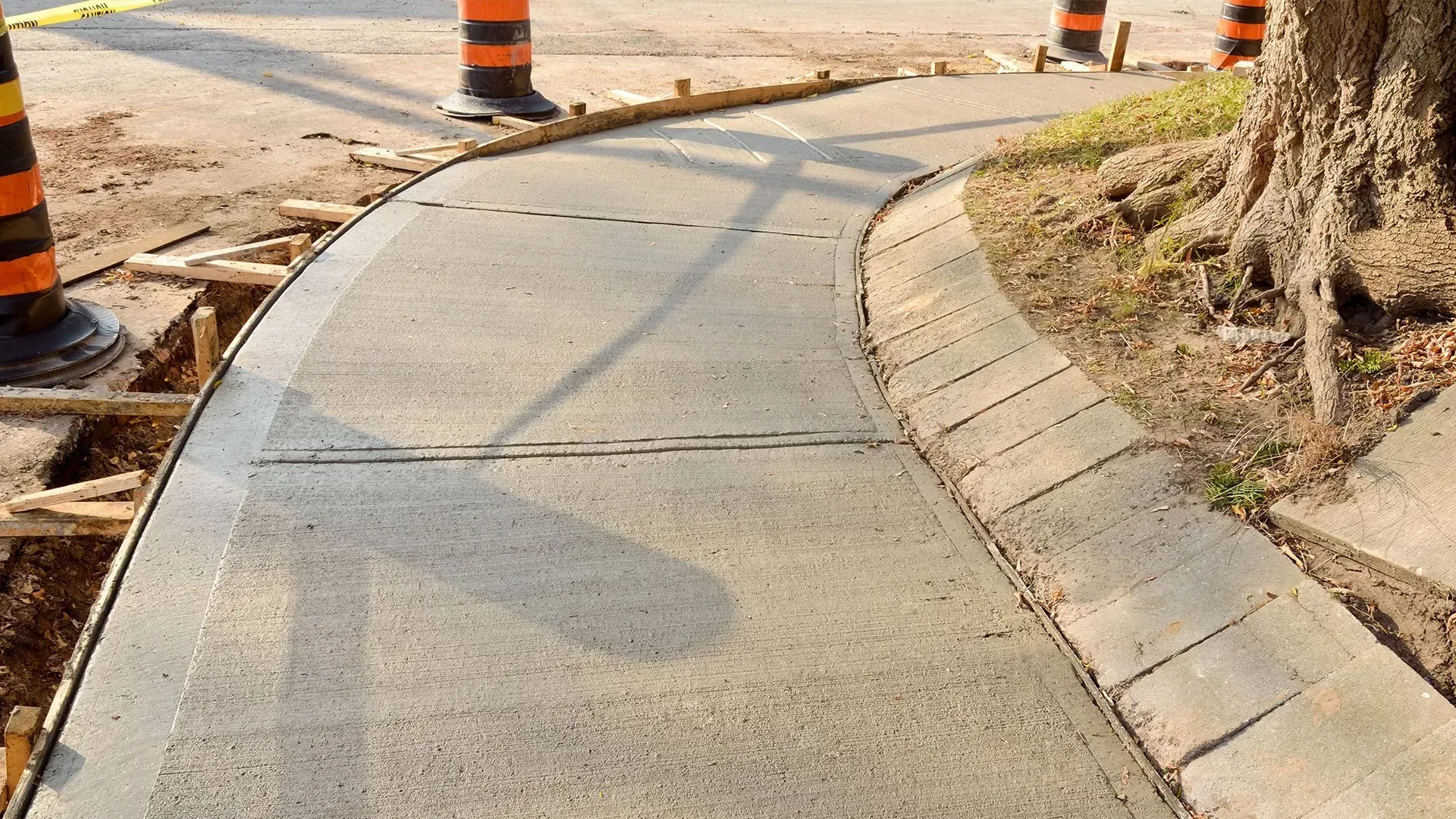 Curved concrete sidewalk beside a tree and orange construction barrels at a work zone