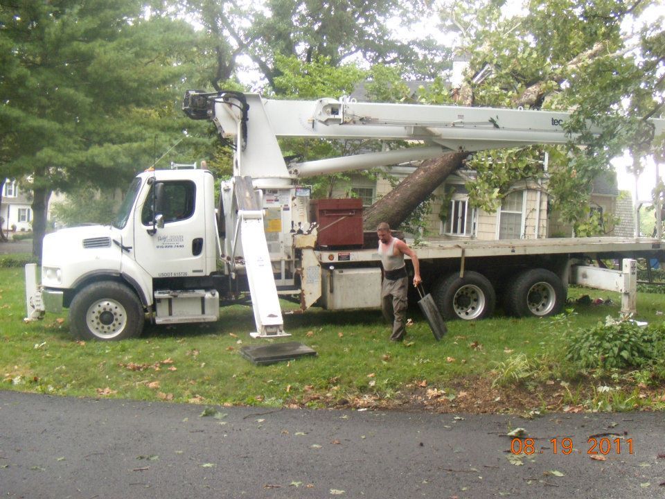 Tree Companies Kansas City, MO | Eden Tree Service