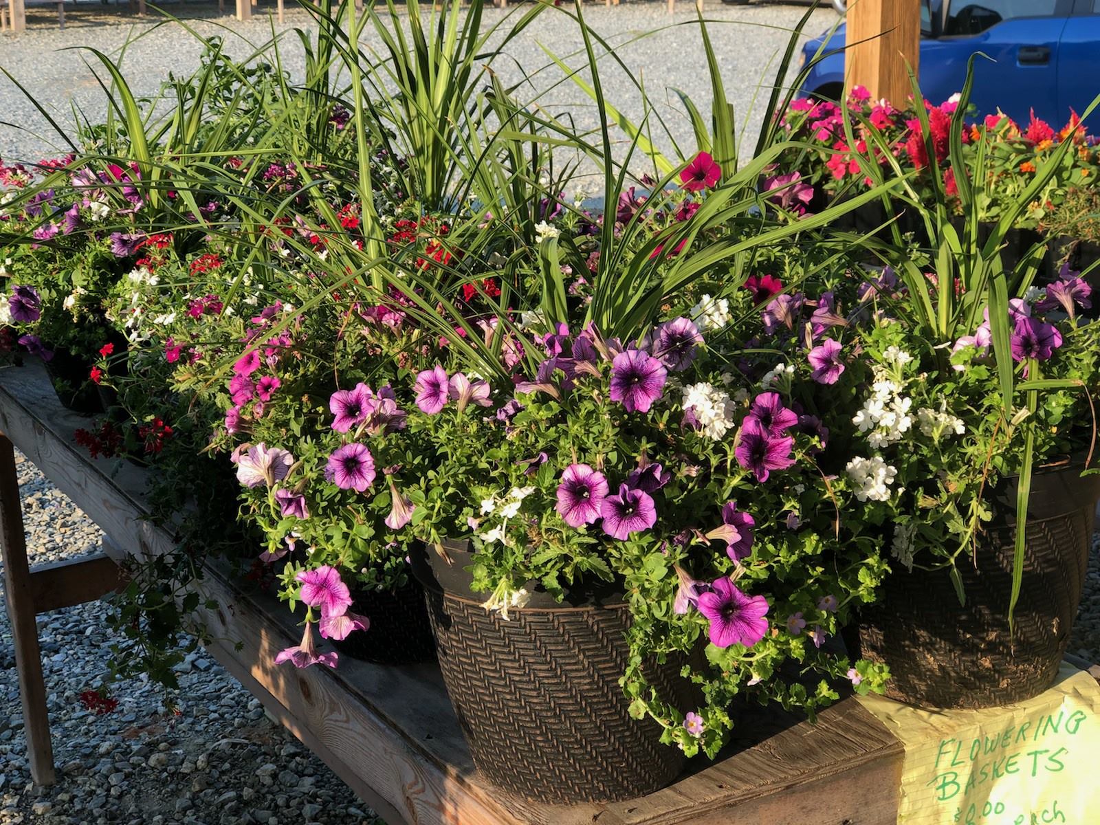 Flee market merchandise