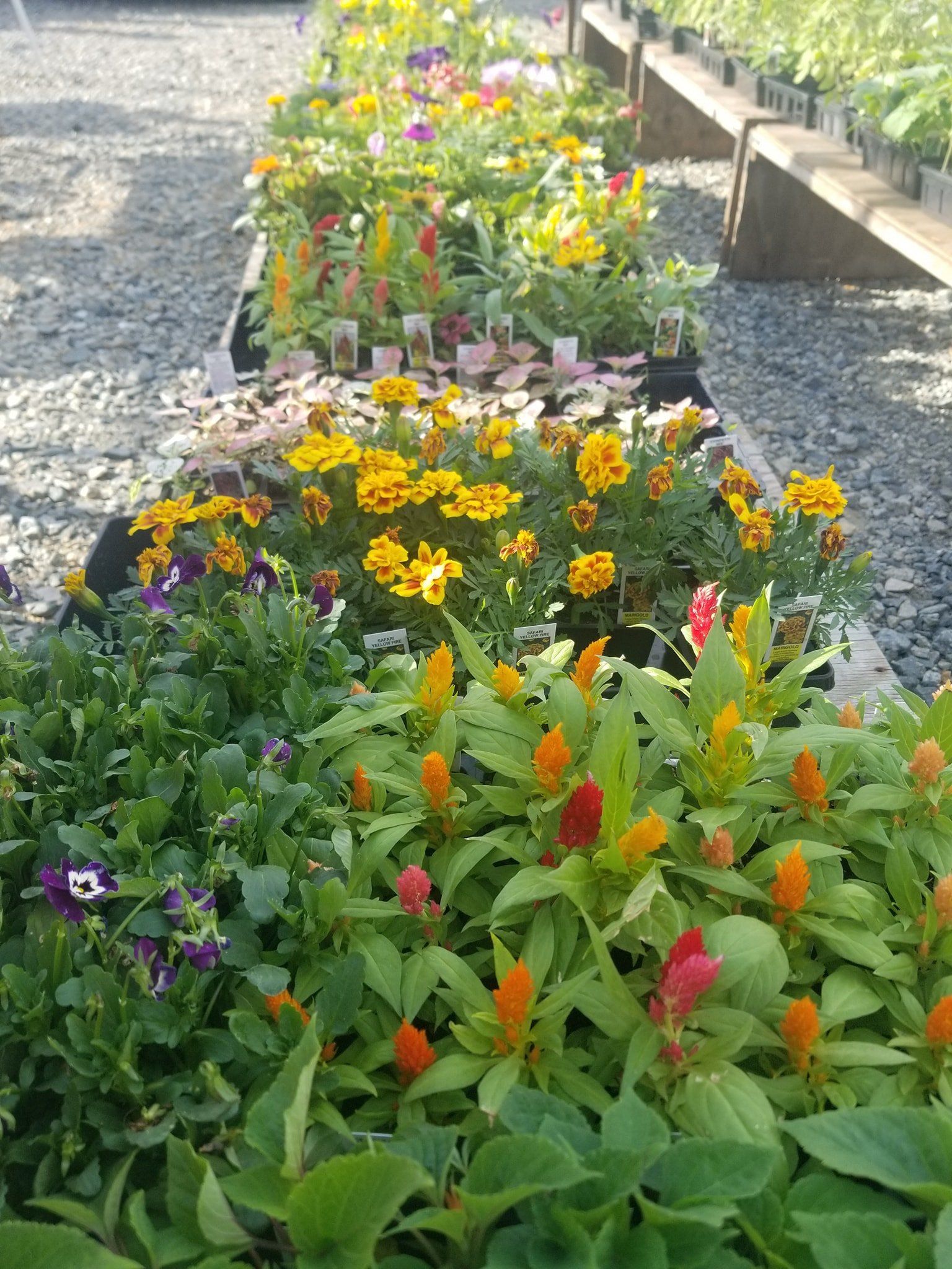 Flee market merchandise