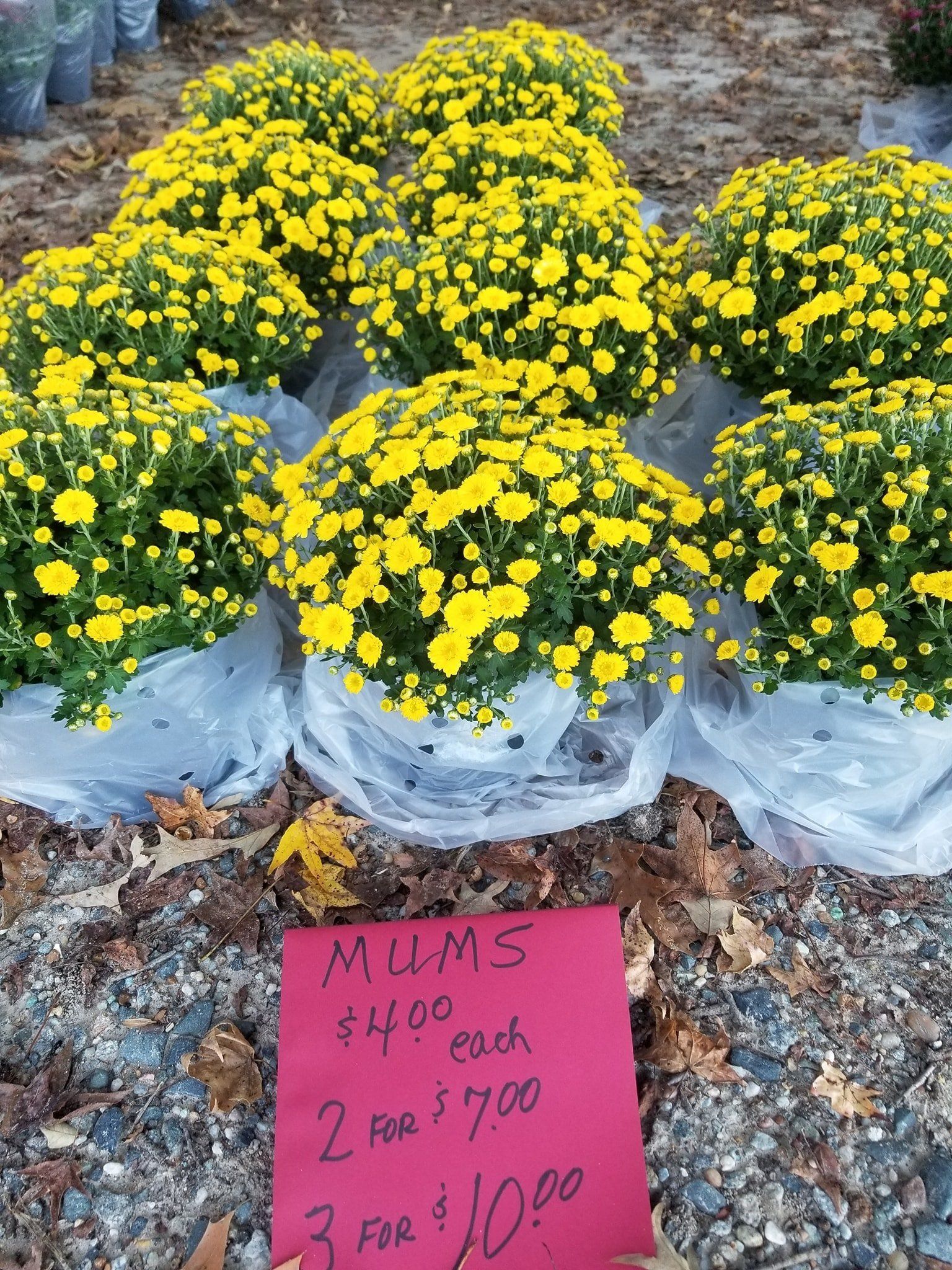 Flee market merchandise