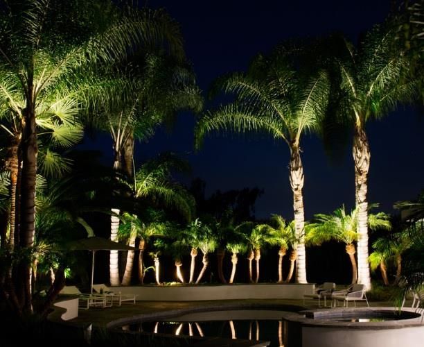 Outdoor Lighting NightScapes Landscape Lighting Naples