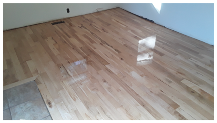 Floor Sanding & Refinishing #29