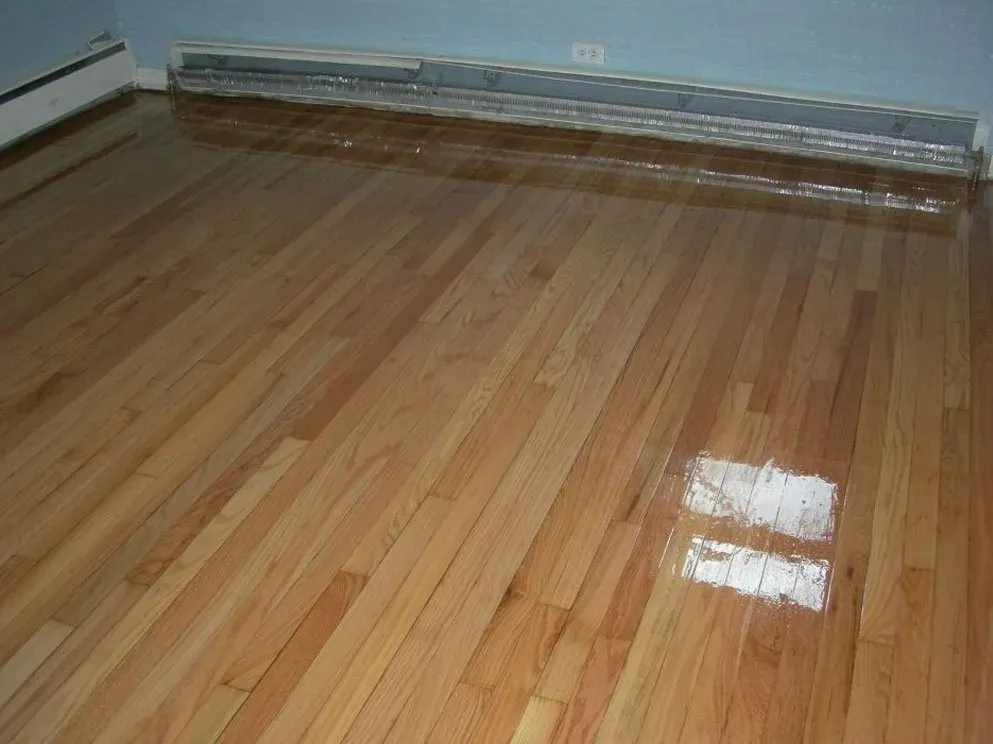 Floor Sanding & Refinishing
