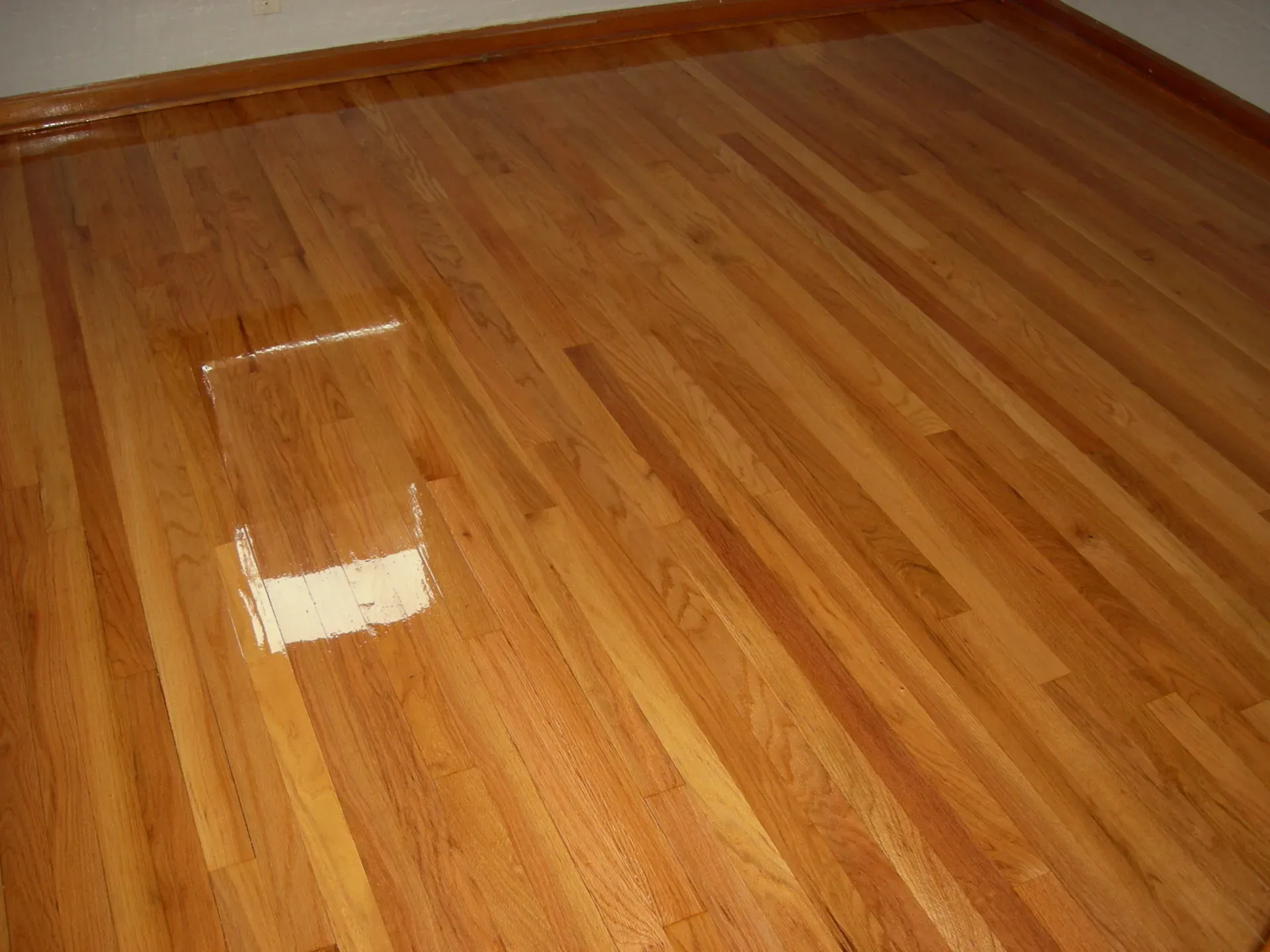 Floor Sanding & Refinishing