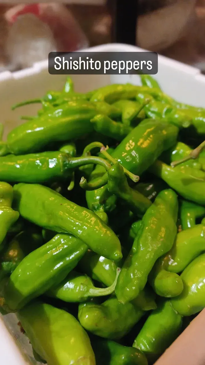 A white bowl filled with green peppers called shishito peppers