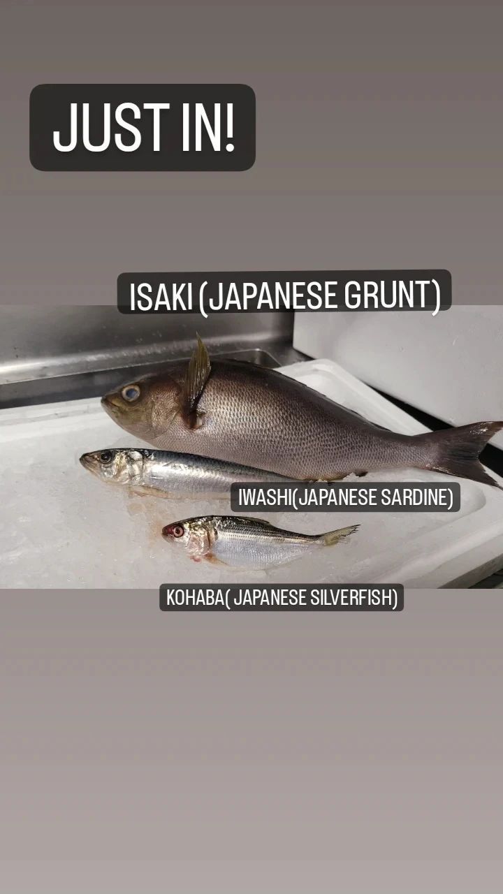 Three different types of fish are sitting on a white surface.