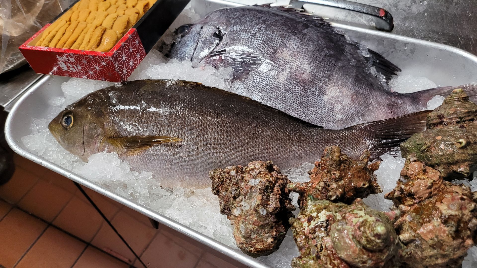 A tray of fish and oysters on ice