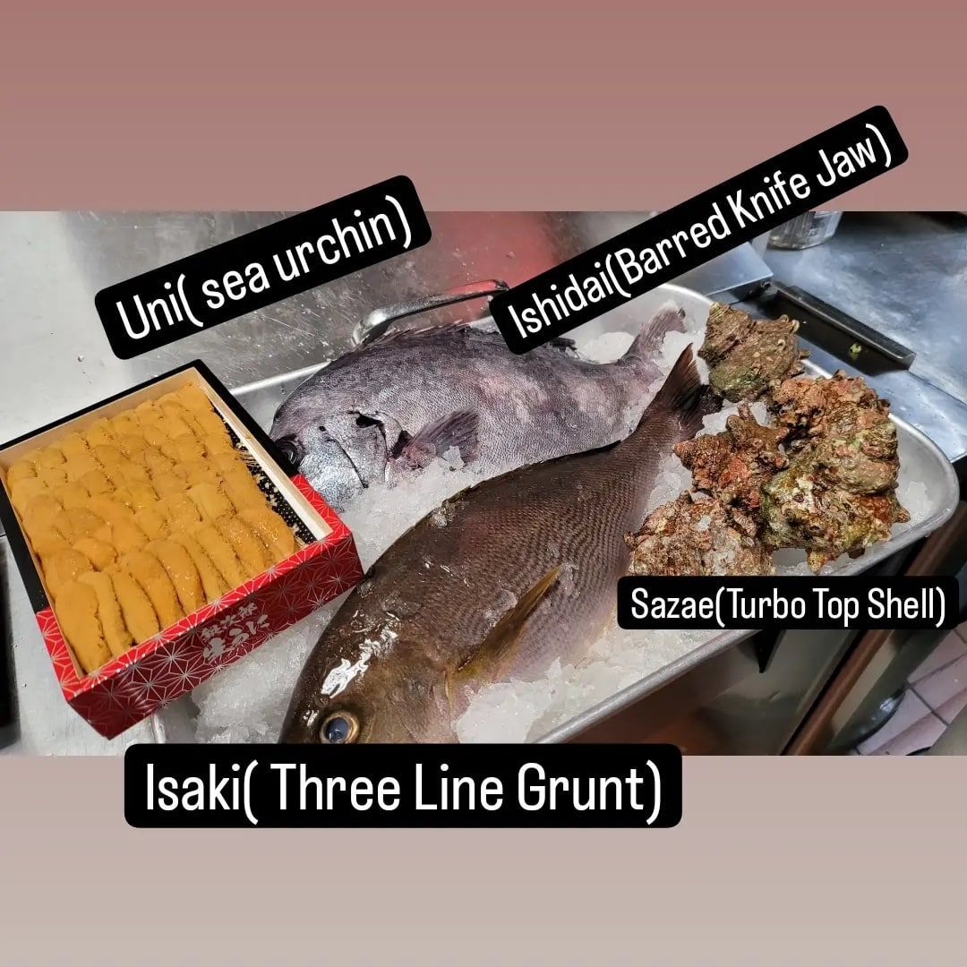 There are many different types of fish on the tray.