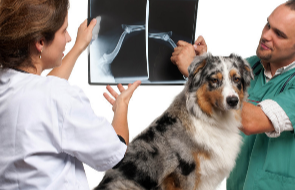 X-ray