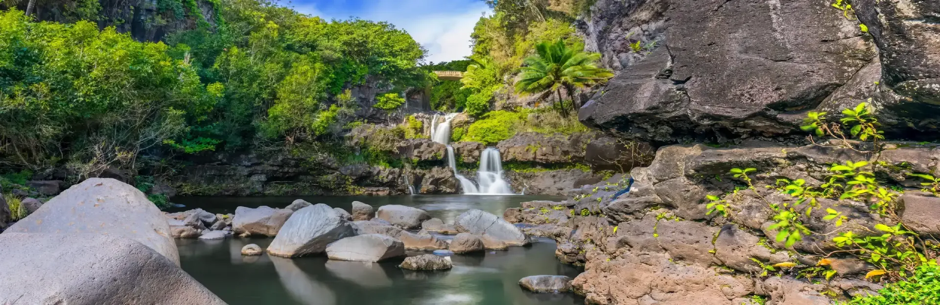 Small waterfall flowing into a rocky pool surrounded by lush green trees and boulders