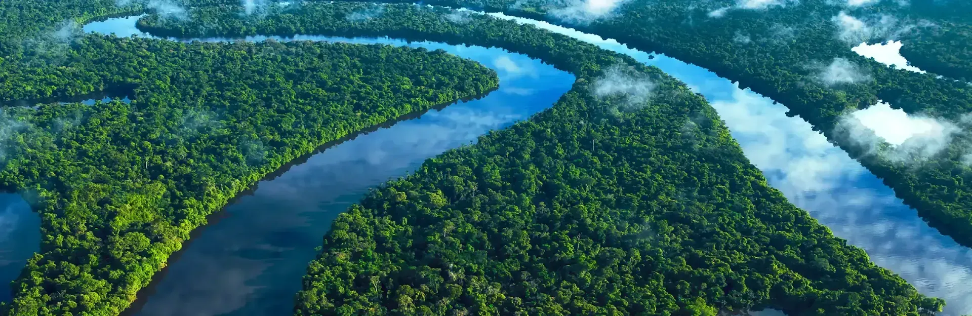 A winding river through dense green forest under misty clouds