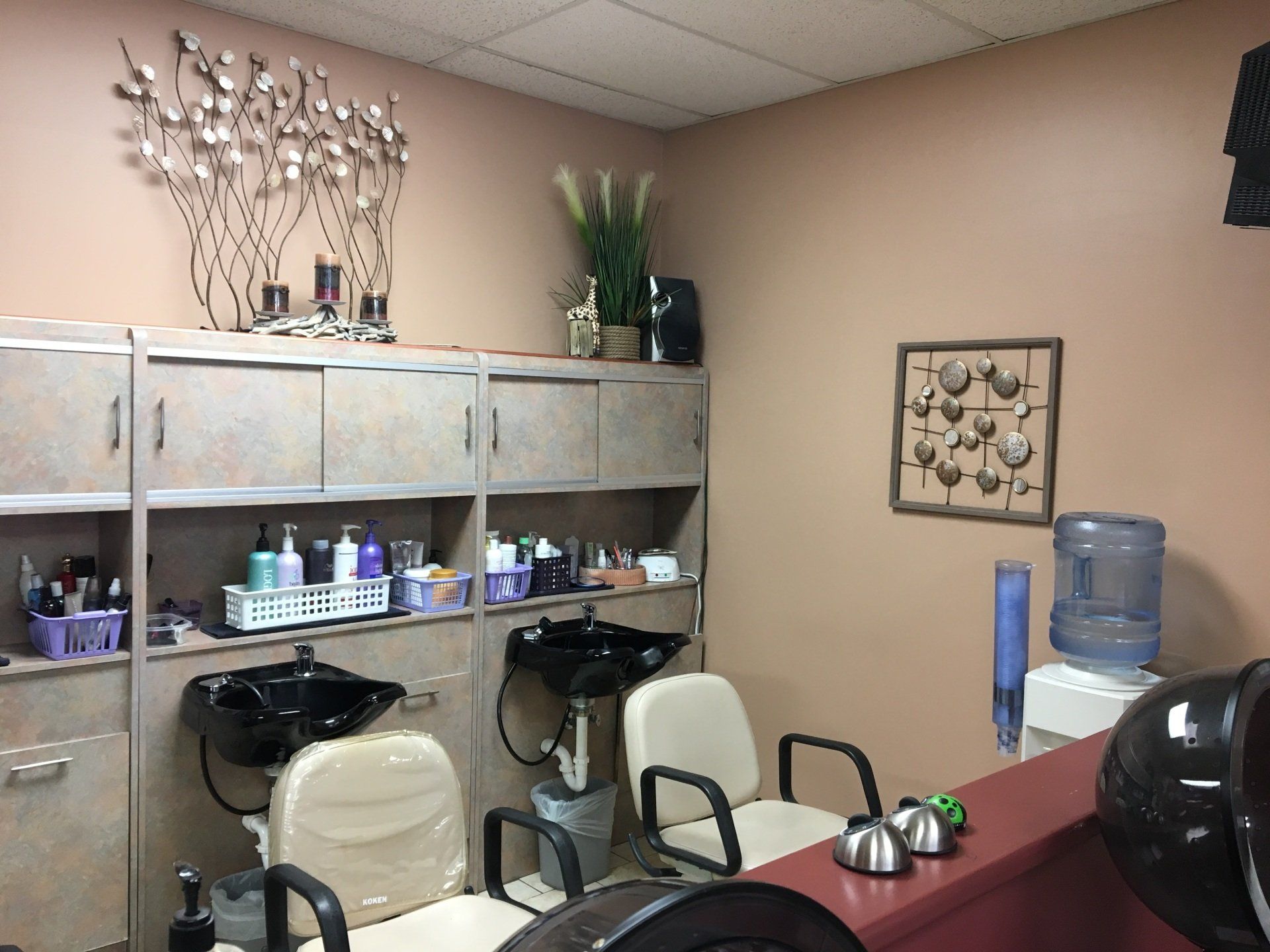 Shearly Professional