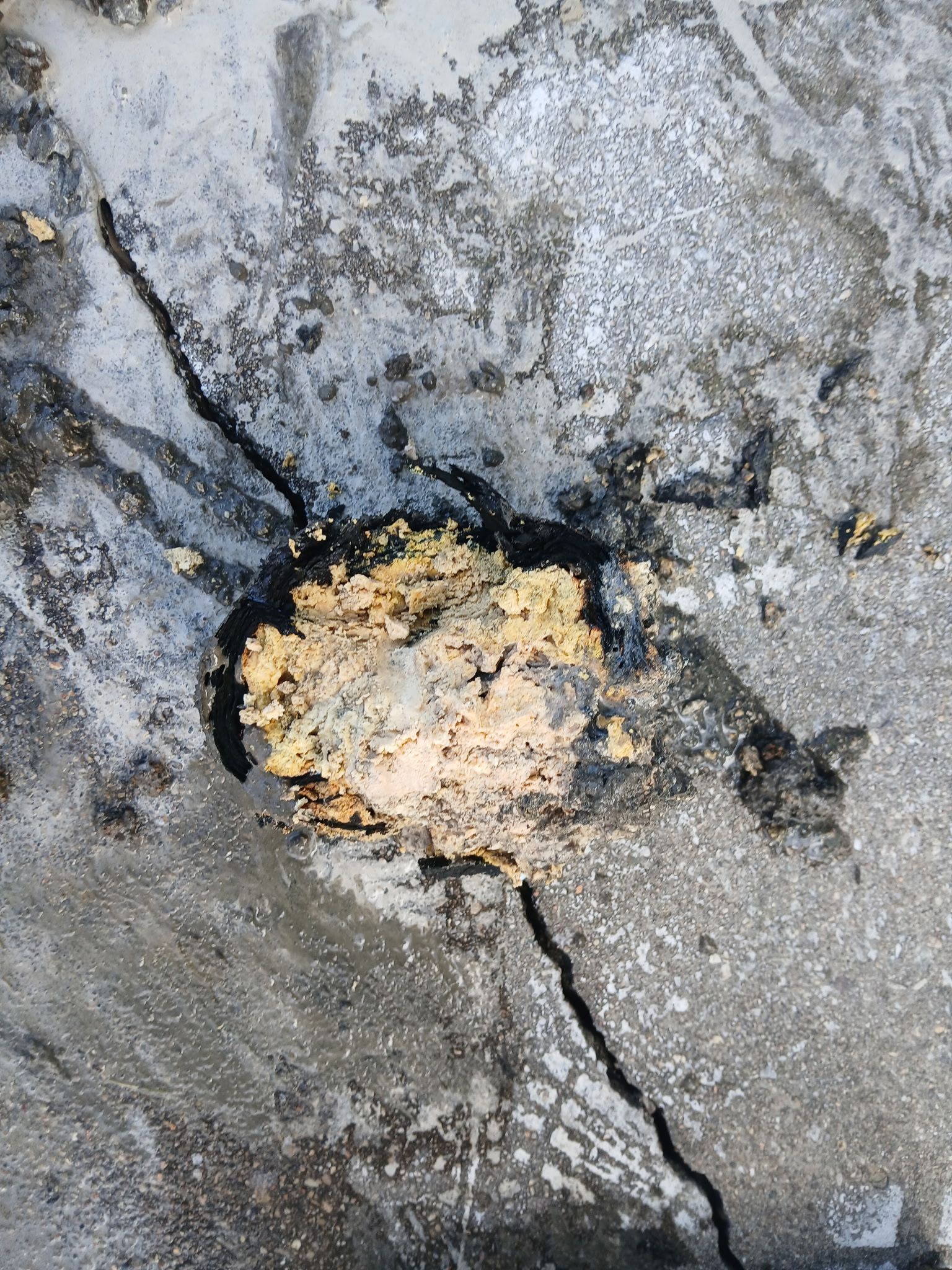 Cracked gray concrete with a small tan clump or debris in the center