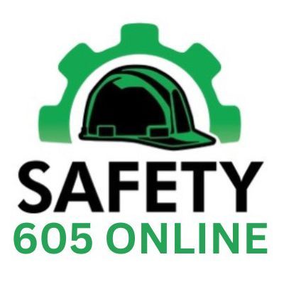 Safety Solutions logo