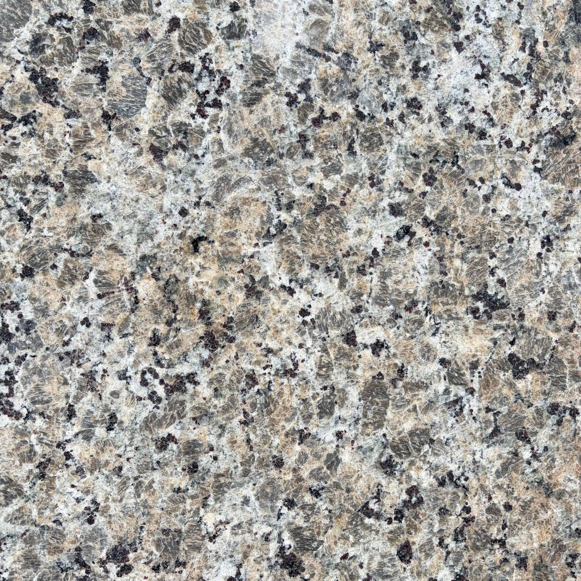 A close up of a granite surface with a lot of small stones