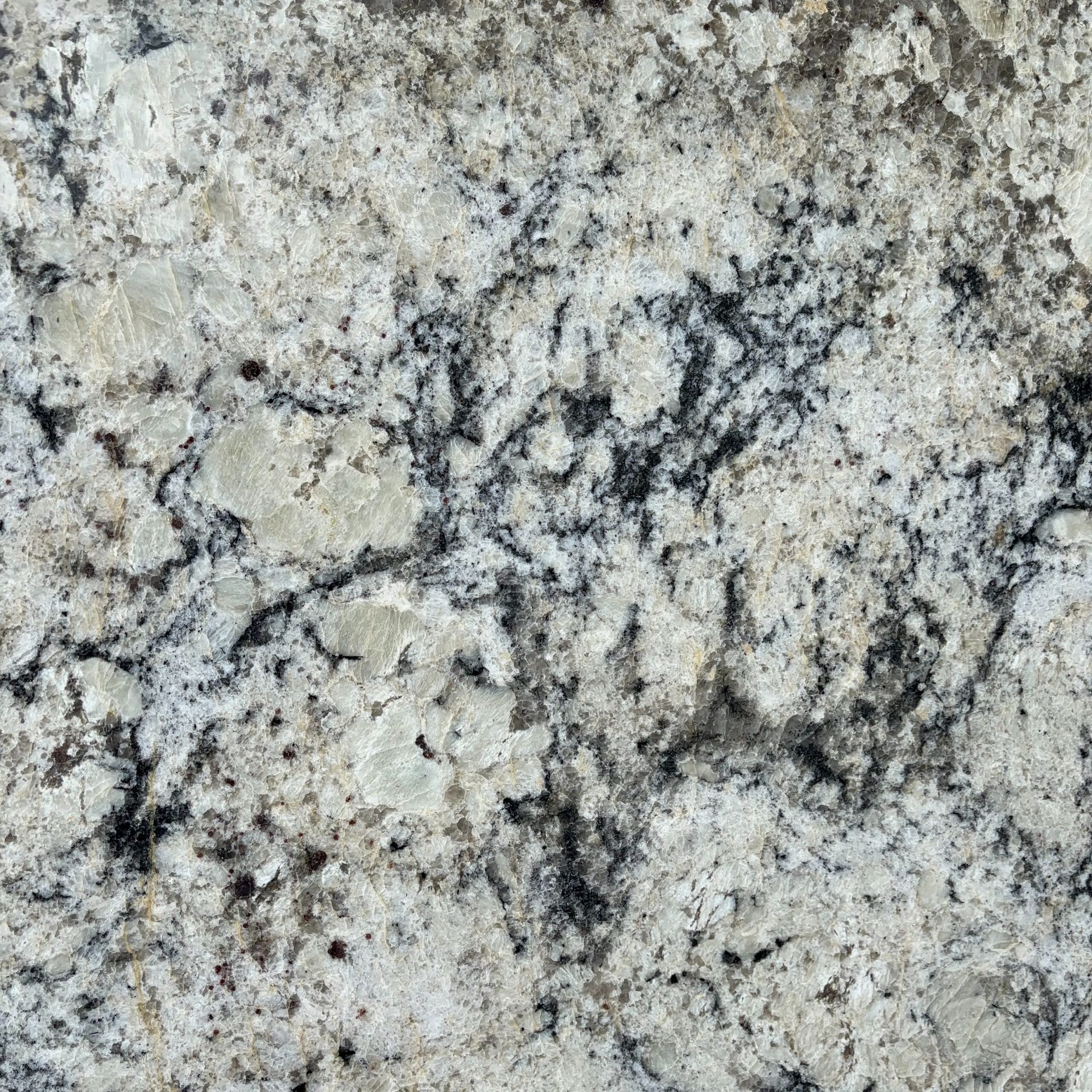 A close up of a white granite counter top with black spots.
