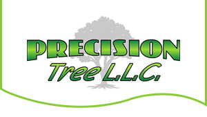 Precision Tree LLC - Logo