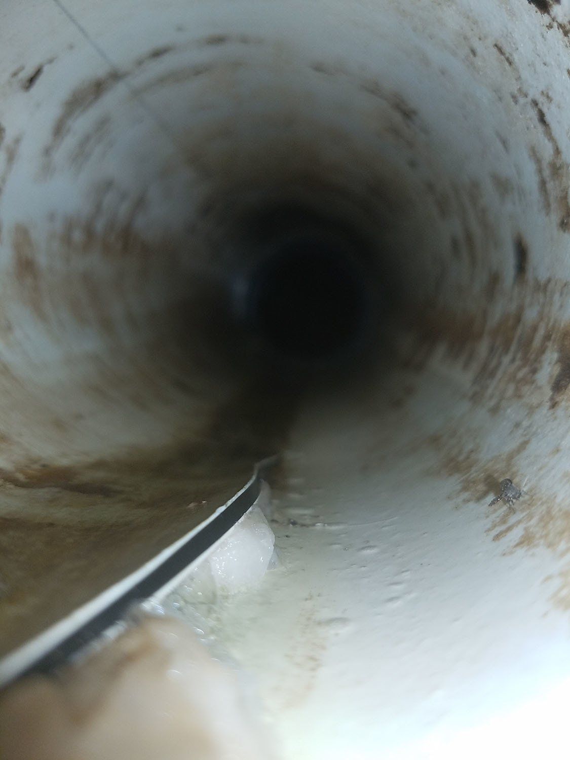 drain cleaning