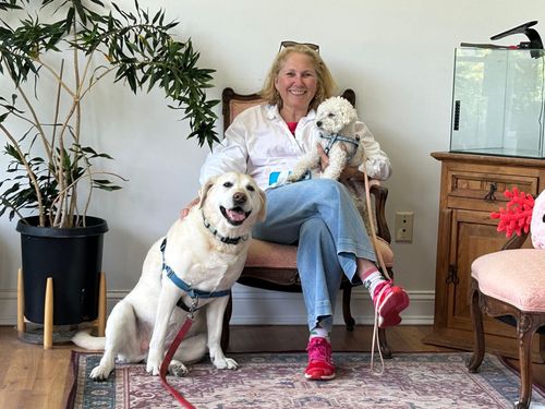 Woman seated indoors with two small dogs, one on her lap and one in front, in a bright living room