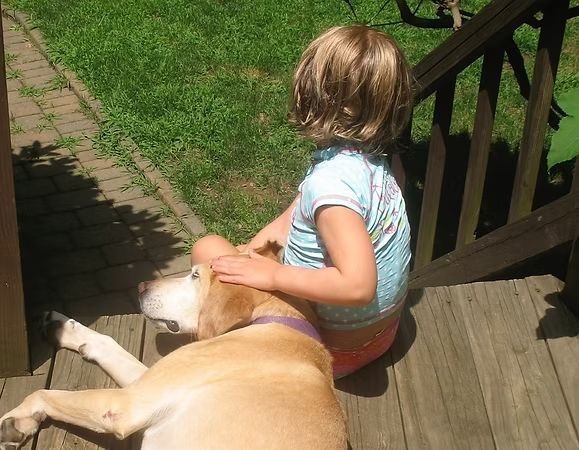 Child sitting on a porch petting a tan dog in the sun