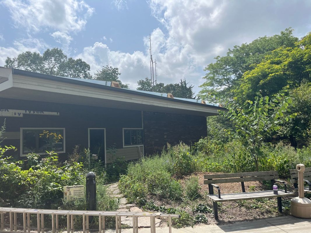 A dark-sided building with a wide roof, surrounded by wild vegetation, next to a park bench under a bright, cloudy sky.