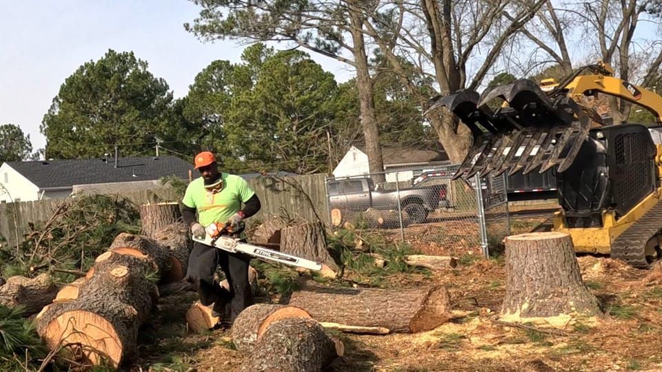 a man is cutting a tree stump with a chainsaw