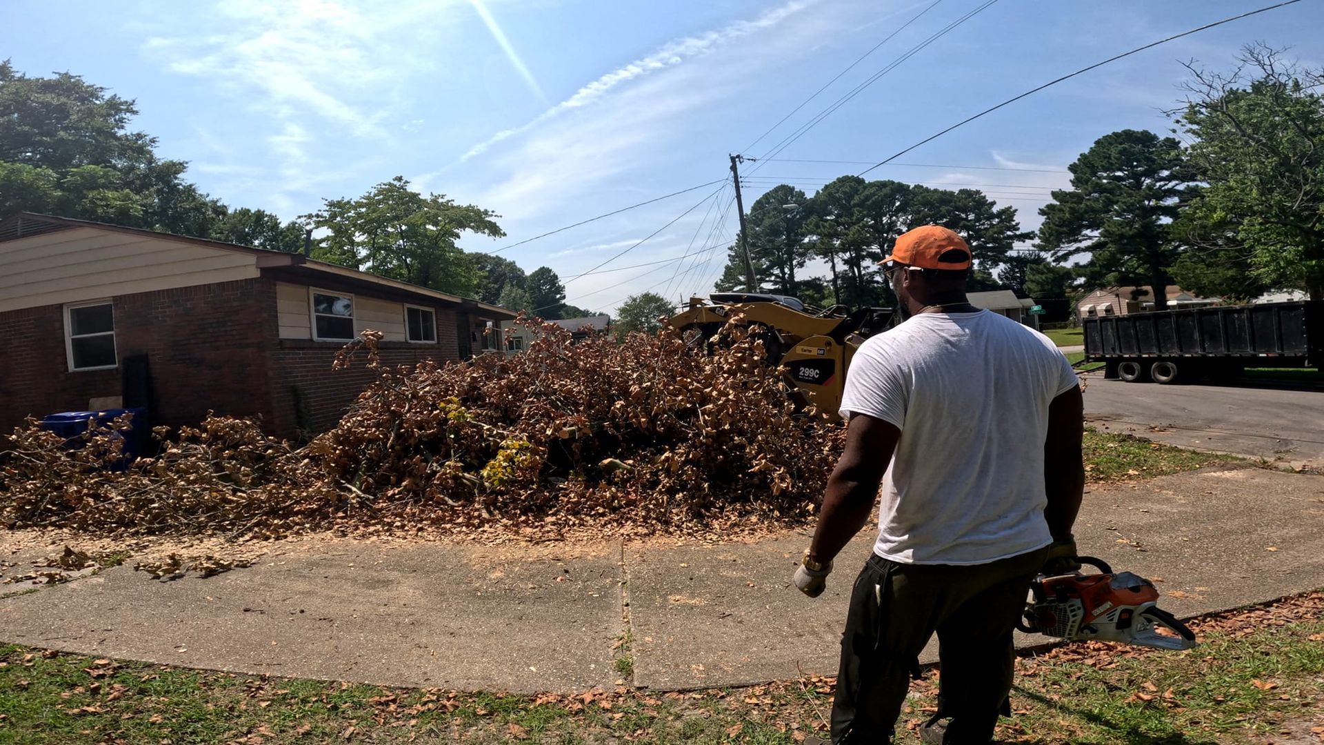 Virginia Beach Tree Removal Service Expert Guide