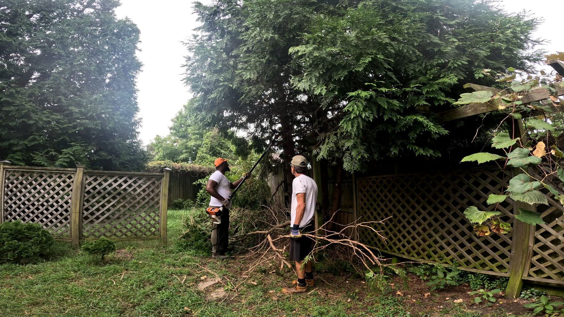 two men are cutting a tree in a backyard