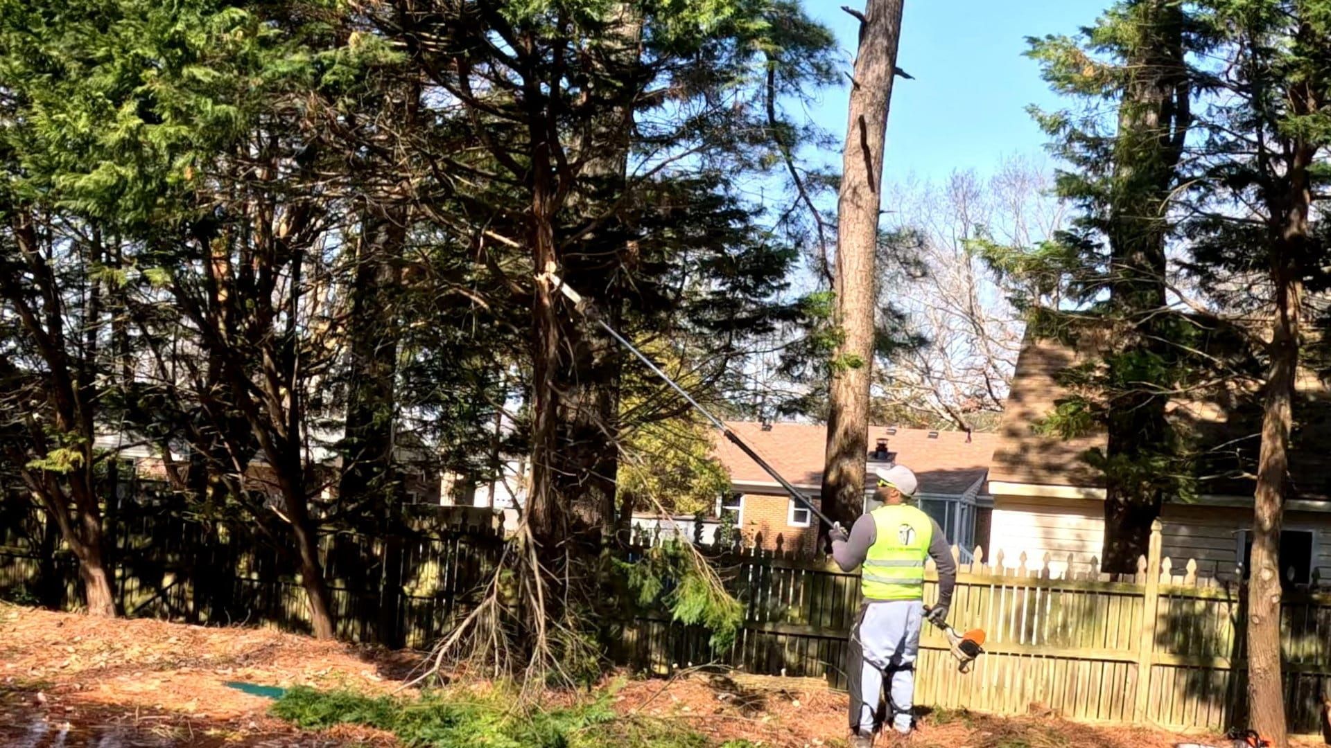 a man is spraying a tree with a hose in a yard